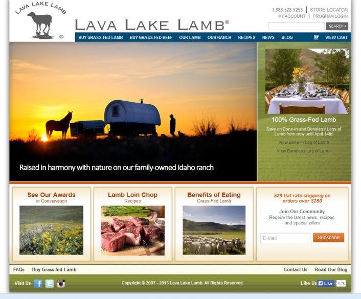 lava lake lamb